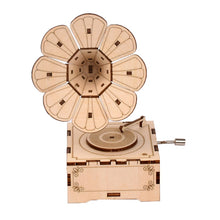 Lade das Bild in den Galerie-Viewer, 3D Hand-Spieluhr Puzzle aus Holz kaufen - Pk.toys