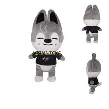 Lade das Bild in den Galerie-Viewer, Friday Night Funkin Plüschige Stofftiere Puppen kaufen - Pk.toys