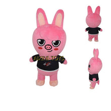 Lade das Bild in den Galerie-Viewer, Friday Night Funkin Plüschige Stofftiere Puppen kaufen - Pk.toys