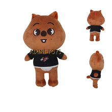 Lade das Bild in den Galerie-Viewer, Friday Night Funkin Plüschige Stofftiere Puppen kaufen - Pk.toys