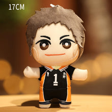 Lade das Bild in den Galerie-Viewer, Anime Haikyuu!! Plüsch Figuren (18-20cm) kaufen - Pk.toys