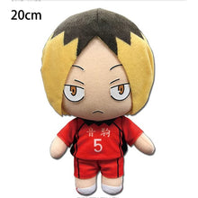 Lade das Bild in den Galerie-Viewer, Anime Haikyuu!! Plüsch Figuren (18-20cm) kaufen - Pk.toys