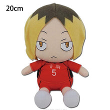 Lade das Bild in den Galerie-Viewer, Anime Haikyuu!! Plüsch Figuren (18-20cm) kaufen - Pk.toys
