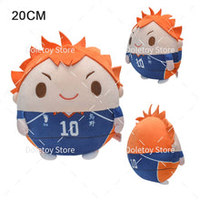 Lade das Bild in den Galerie-Viewer, Tokyo Revengers Plüsch Figuren - ca. 20cm kaufen - Pk.toys